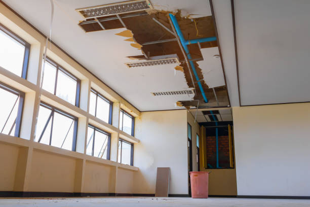 Best Carpet water damage restoration  in Mansfield, PA