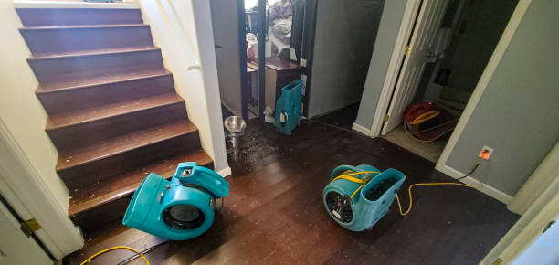 Reliable Mansfield, PA Water damage restoration Solutions