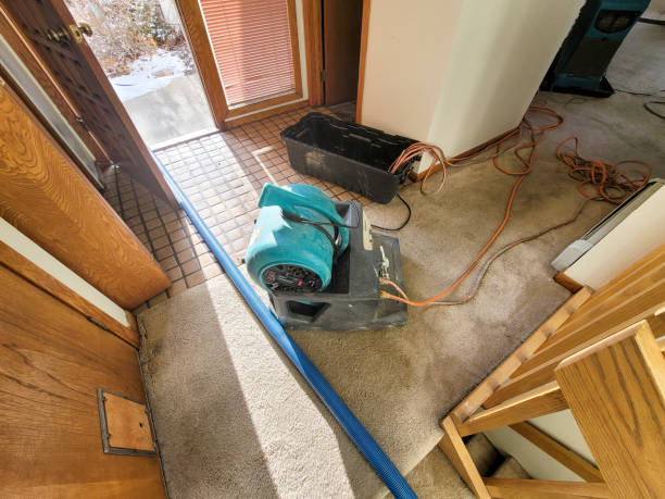 Best Water damage restoration near me  in Mansfield, PA