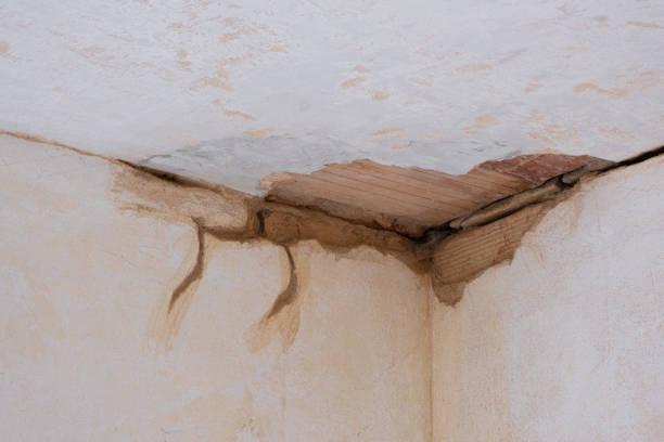 Best Water damage contractors near me  in Mansfield, PA