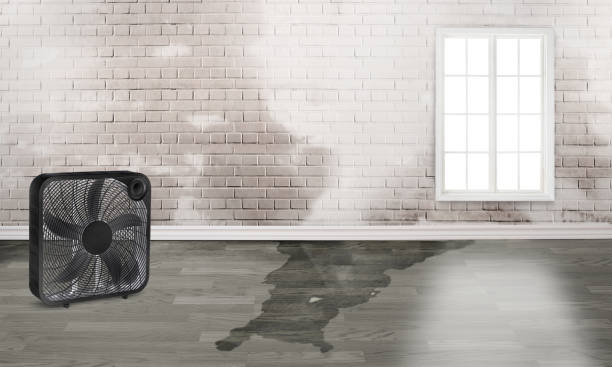Best Emergency water damage restoration  in Mansfield, PA