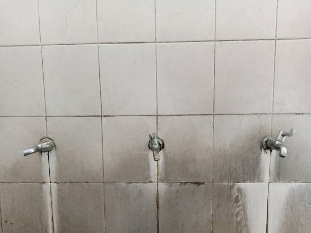 Best Flood restoration services  in Mansfield, PA