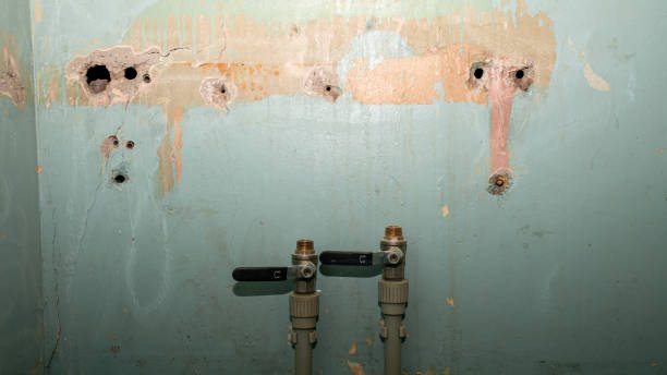 Best Water damage restoration near me  in Mansfield, PA