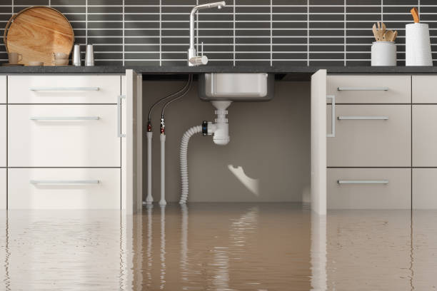 Best Commercial water damage restoration  in Mansfield, PA