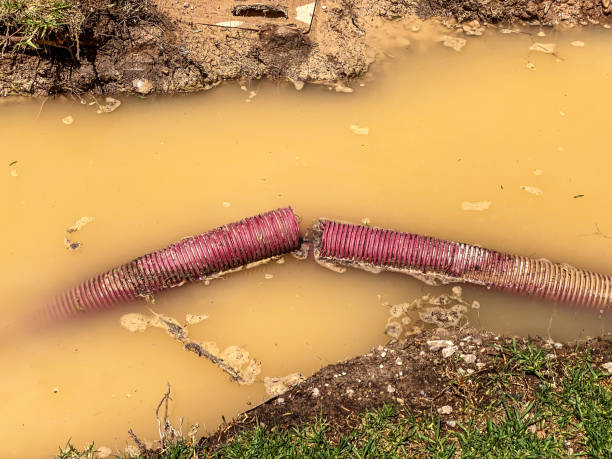 Best Flood damage cleanup  in Mansfield, PA