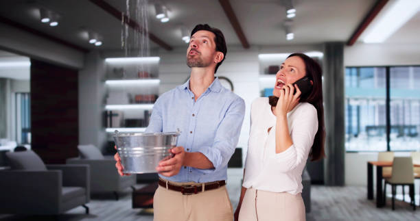 Best Water damage restoration services  in Mansfield, PA